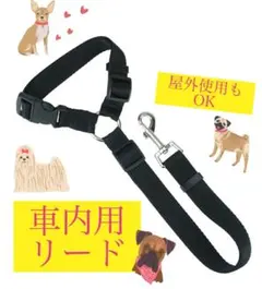 Item thumbnail for item 466b841f-3f6e-4c4e-9fd2-9dba5c1a02ee