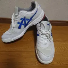 アサヒ体育館シューズ 30cm