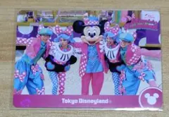 ディズニー・パルパルーザ ミニーのファンダーランド コレクションカード ミッキー