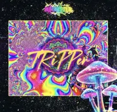 Item thumbnail for item 9d75b965-9cd8-4bc8-a3cb-b6ca9d577ec5