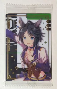 ウマ娘 プリティーダービー ツインウエハース スペシャルR2025 フジキセキ