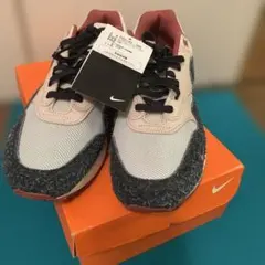 NIKE AIR MAX 1 PRM FD5743-200