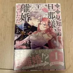 拝啓見知らぬ旦那様、離婚していただきます = To My Unfamiliar…