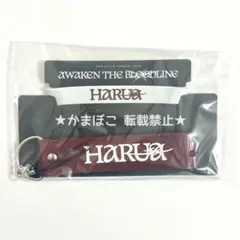 &TEAM HARUA ペンライト デコセット（ATB）