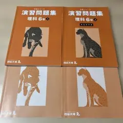 Item thumbnail for item 24ebc827-a048-48da-9cdf-5c4716917467