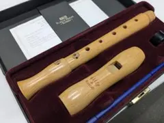 2025年最新】メック リコーダーの人気アイテム - メルカリ