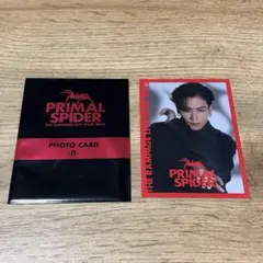 最低価格 川村壱馬 フォトカード ランペ PRIMAL SPIDER