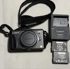 Panasonic LUMIX DMC-GX1 電動ズームレンズキット - メルカリ