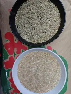 R7年産 宮城県産 つや姫 玄米 23kg③ゲリラ出品 - メルカリ