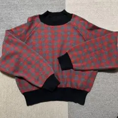 TINA:JOJUN チェック柄　ニット 長袖　　セーター　プルオーバー