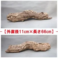 B101　ポルトガル産キャノンコルク　コルク樹皮コルク板　バージンコルク　高品質 B160 ポルトガル産 キャノン型コルク コルク樹皮 コルク板 バージン
