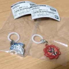 スーパー戦隊 めじるしアクセサリー ドンブラザーズ セット