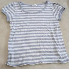 a.v.v standard ストライプ Tシャツ サイズ38