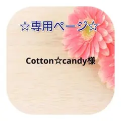 Cotton☆candy様専用ページ/宛名シール/200枚2-3.2-6