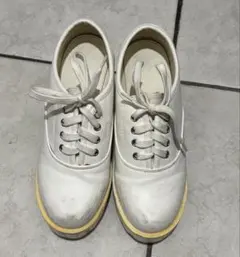 Item thumbnail for item e6f54cc5-e478-4ef8-bbfd-abce5e204d1c