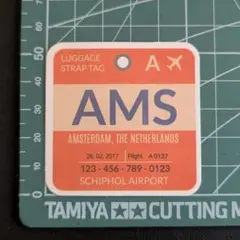 d10 防水ステッカー 旅行 Bagage Tag オランダ アムステルダム