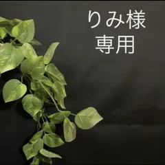 りみ様　ダブルガーゼ　キャンディーお袖長袖ブラウス