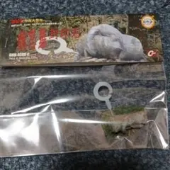 Item thumbnail for item 57259071-dcbf-42a2-ad68-123c538b002f