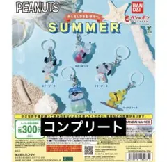 PEANUTS めじるしアクセサリー SUMMER 全5種セット