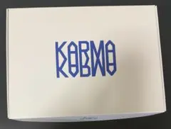 straykids スキズ アルバム KARMA