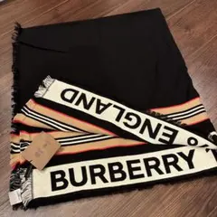 Item thumbnail for item 92d288e6-9dc7-41cc-8c71-113560860c7f