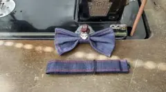 Item thumbnail for item 13e20fb3-94b2-433c-8553-167e1ad891b8