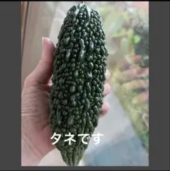 まいまい様 リクエスト 2点 まとめ商品