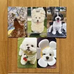 Item thumbnail for item 9da96d8a-5757-489e-8749-d419102ff815