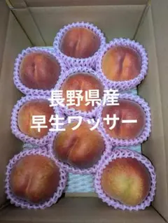 旬の果物　早生ワッサーのサムネイル