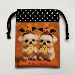 マルチーズ ファッション小物