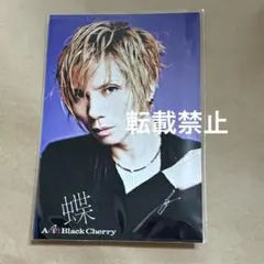 Acid Black Cherry yasu ポストカード 15 - メルカリ