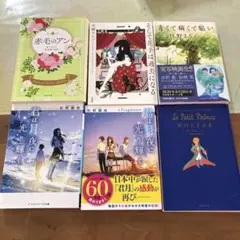 小説6点まとめ売り　恋愛系　即購入可 バラ売り可