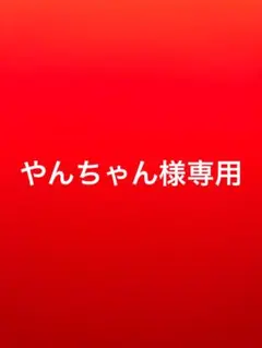 やんちゃん様専用