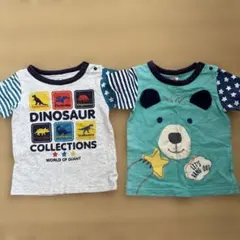 キッズ Tシャツ 2枚セット 恐竜 クマのサムネイル