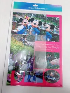 東京ディズニーリゾート イマジニングザマジック　クリアファイルポストカードセット