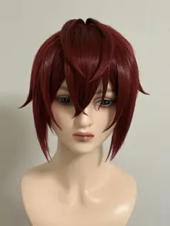 銀魂 神威 コスプレ ウィッグ 完成品 カットセット済み - メルカリ