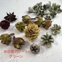 ドライフラワー グリーン木の実 花材セット/小分けのサムネイル