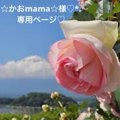 サンキャッチャー モビール