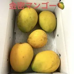 沖縄県産きんみつマンゴー1.5kgのサムネイル