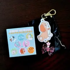 ディズニーストア シークレットキーチェーン レディ