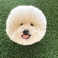 Item thumbnail for item 07ed810a-2507-4593-852a-5aa2f3f00efe