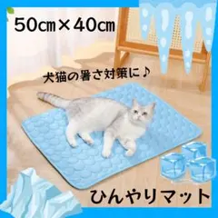 Item thumbnail for item fd41cb27-8b93-40a0-a840-bc4b2d8a2242