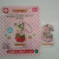 シルバニアファミリー 赤ちゃん アクリルキーチェーン～いちご～シマネコの赤ちゃん