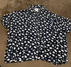 Item thumbnail for item 02ac07ce-df7a-408a-b9e8-53c71785b929