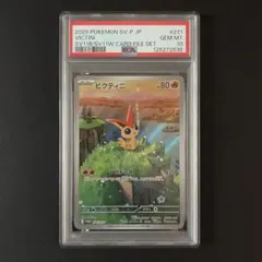 2025年最新】ビクティニ ARの人気アイテム - メルカリ