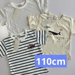 新品☆プティマイン☆Tシャツ3枚セット 110cm