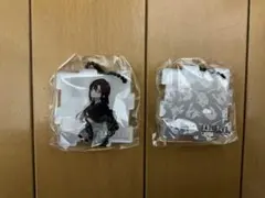 エヴァンゲリオン RADIO EVA アクリルキーホルダー 2個セット　ガチャ