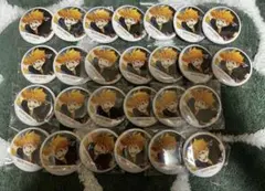 ハイキュー!! 日向翔陽 缶バッジ