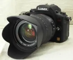 LUMIX GH1 + G VARIO 14-140 F4-5.8【中古】⑪ LUMIX G VARIO 14-45mm/F3.5-5.6 ASPH./MEGA O.I.S. H-FS014045 中古