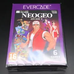 ネオジオ アーケード3 NeoGeo Arcade 3 Evercade